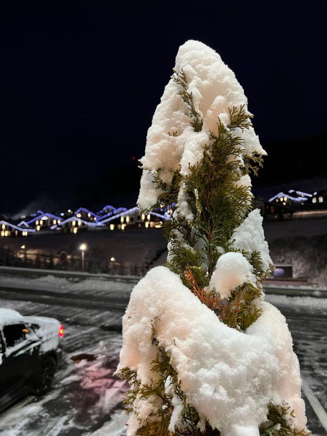 Chalet Blanc Bukoveľ Exteriér fotografie